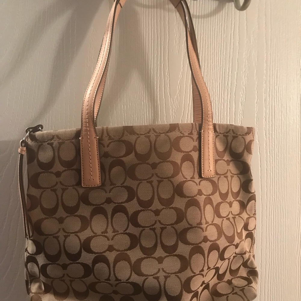Tan Coach bag with Snakeskin accents.